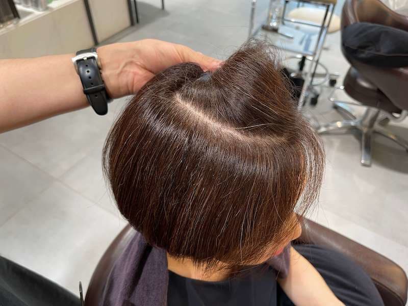 染める頻度の多い白髪染めに